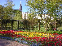 花いっぱいのアンデルセン庭園。聖Knuds教会の尖塔も見えます